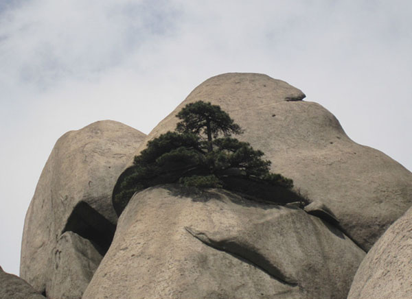 天柱山花岗岩石顶